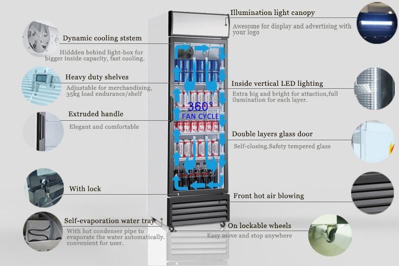 Glass Door Upright Display Fridge Small Size Cooling Showcase