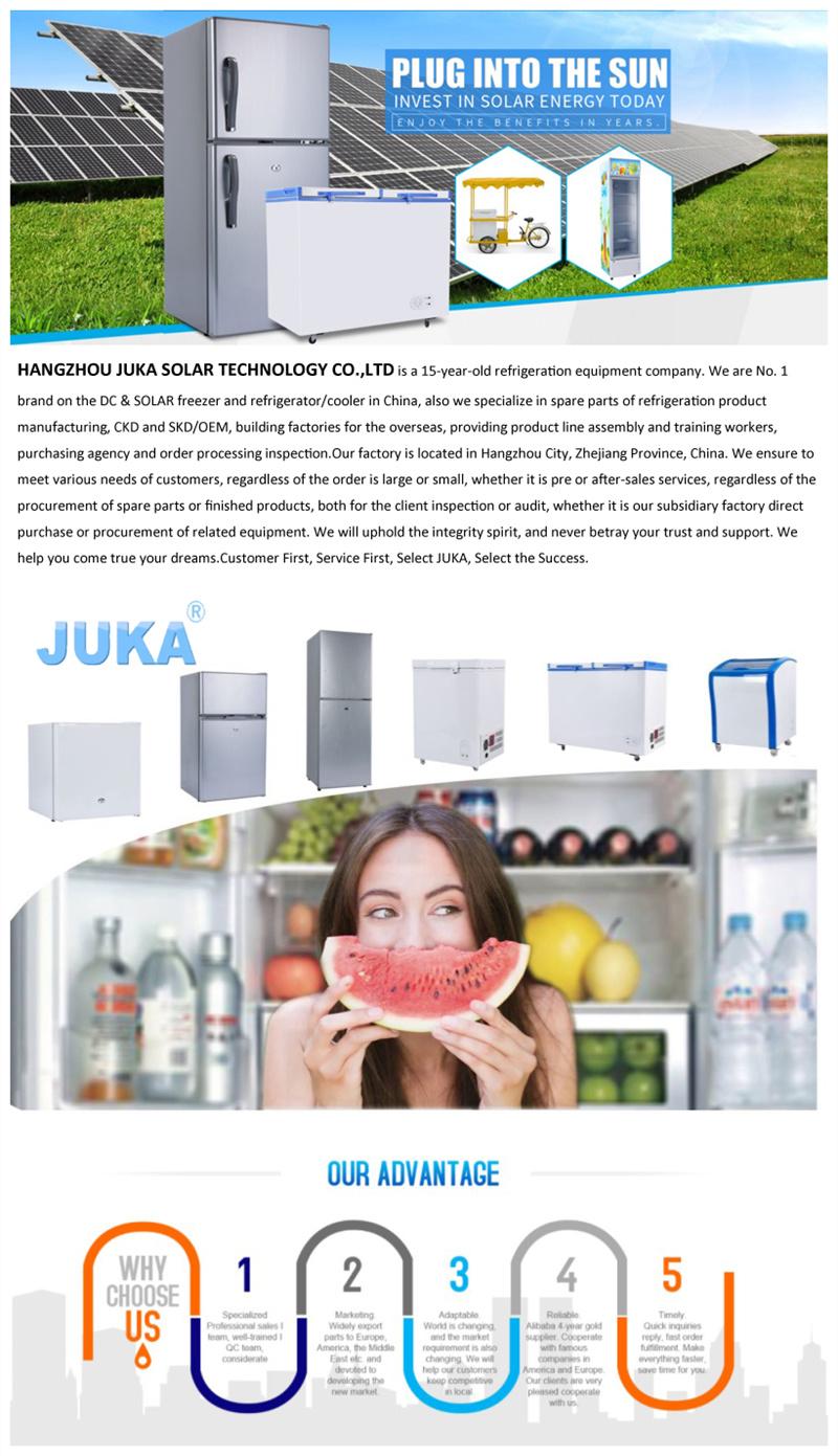 Upright Freezer Glass Display Showcase Cold Drink Storage Solar Cabinet