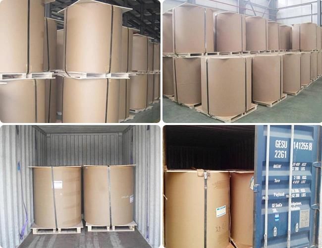 1050 1060 3003 5005 5052 Color Coated Aluminum Strip