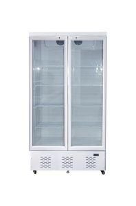 No light Box New Style Freezer Upright Showcase Display Cooler