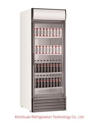 Single Flat Glass Door Freezer Display Beverage Cooler Upright Showcase Commercial Display Refrigerator Fridge