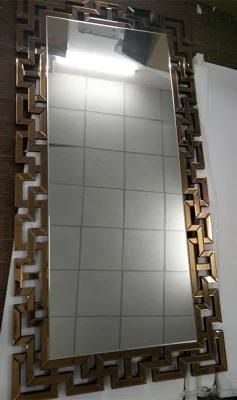 Drssing Mirror Decorative Floor Mirror Floor Mirror Apply to Household