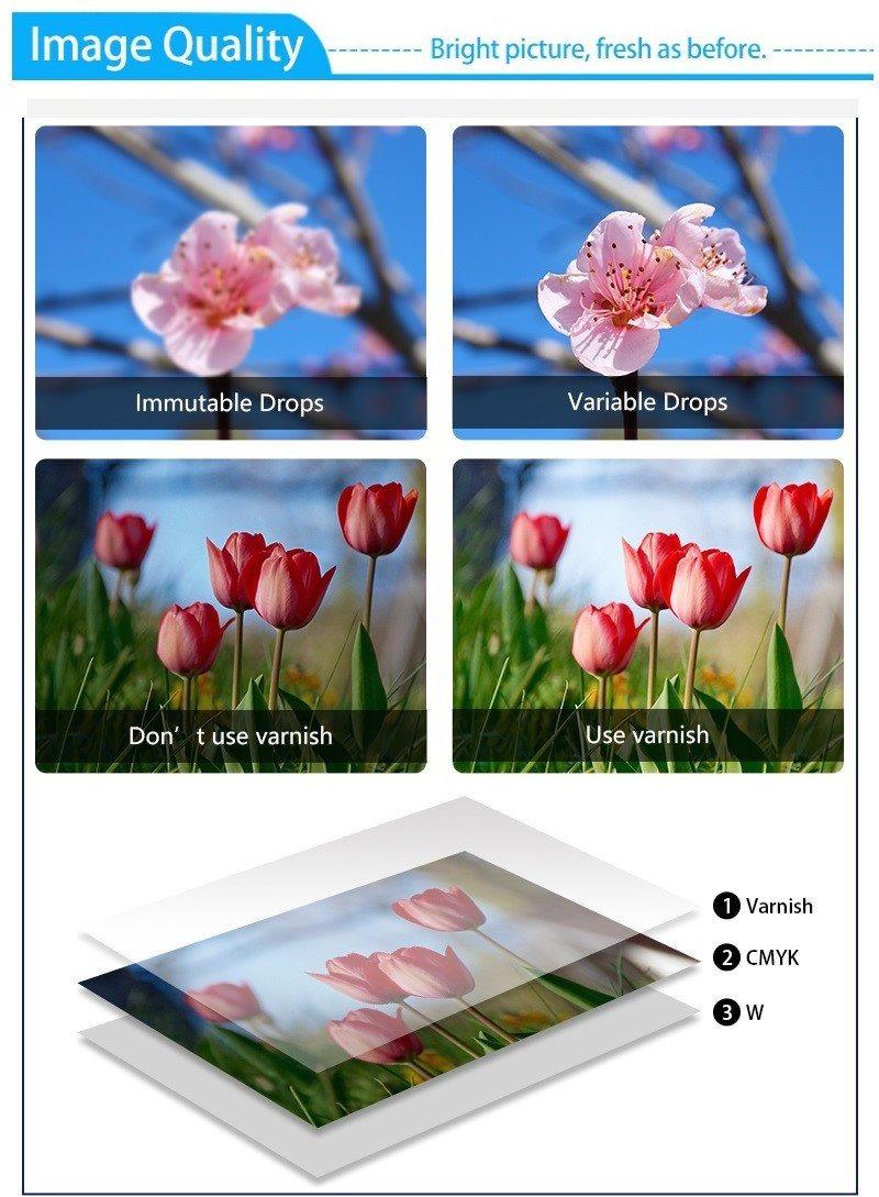 Yc1016 Printing Machine UV Flatbed Printer for Customized Gifts