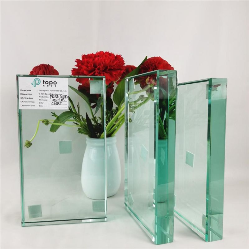 1.9mm-25mm Customized Clear Float Glass for Building (C-TP)