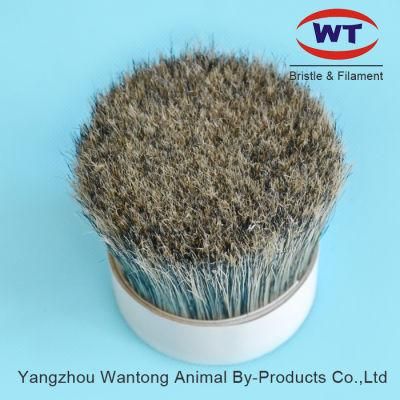 High Quality Chungking Natural Grey Pig Bristles