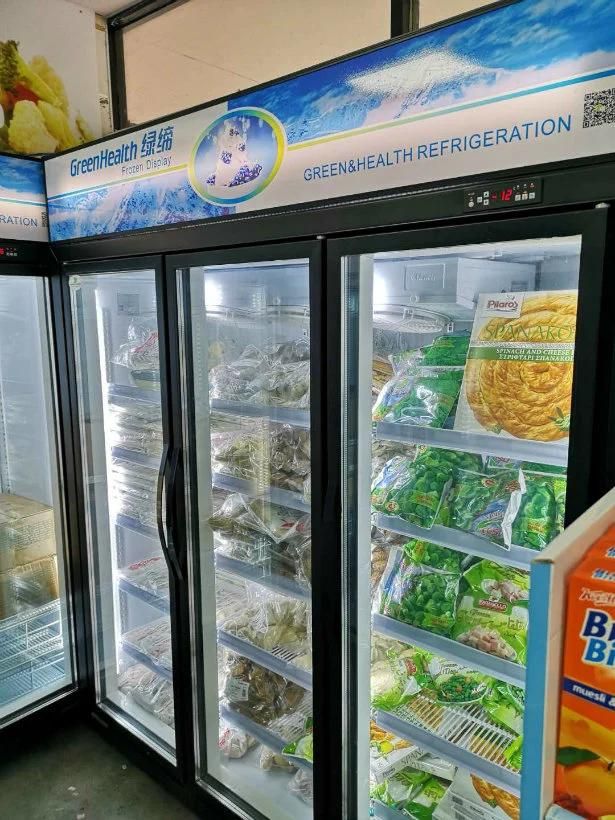 Supermarket Glass Door / Display / Chest / Icecream / Deep / Showcase / Upright Freezer