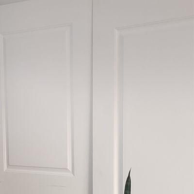 Modern Wood Door Design MDF Laminated Door Panels