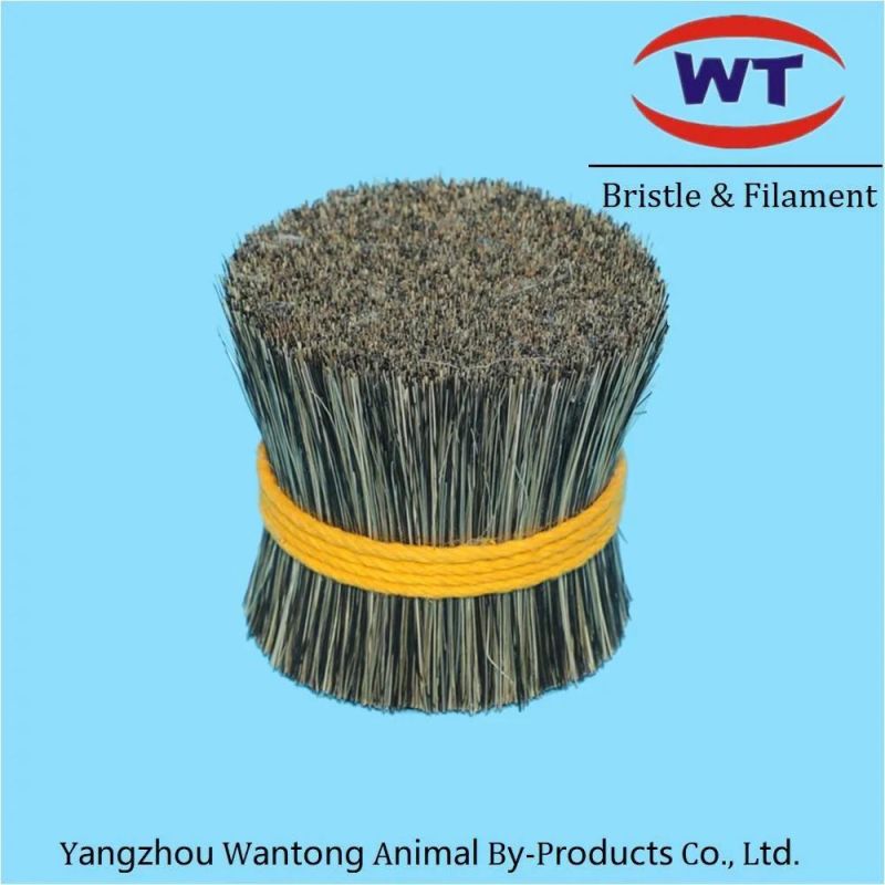 Chungking Natural Rifling Bristles for Brushes