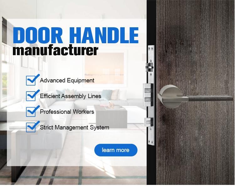 Different Types Zinc Alloy Door Handle and Knob for Bathroom Glass Door