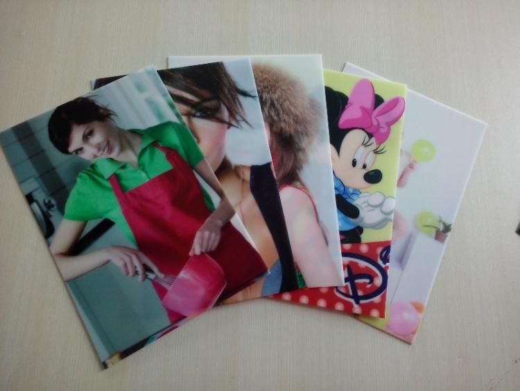 Ntek 6090 Small Format UV Flatbed Printer Glass Printing Machines