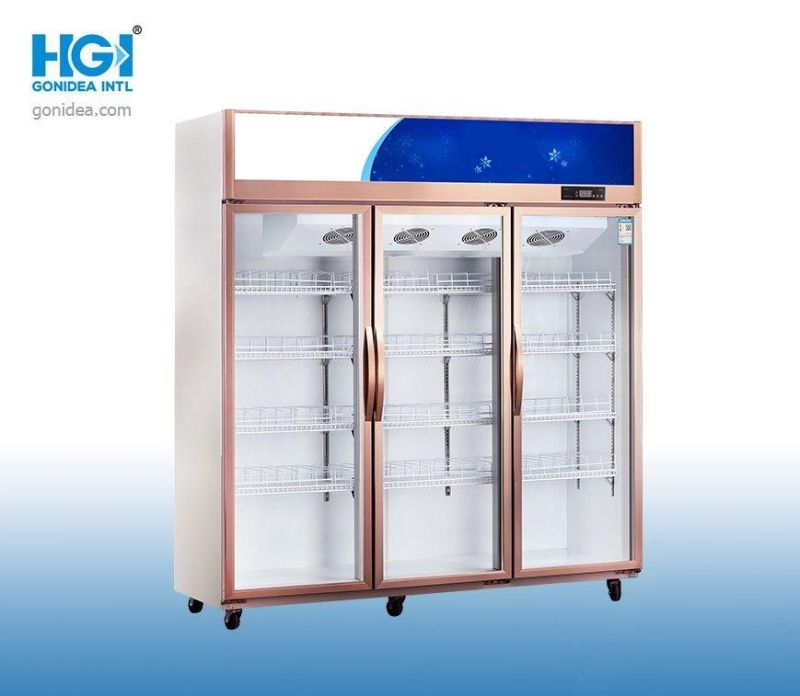 R290 Pulling Door Double Glass Door Upright Refrigerated Showcase LC-1000ys