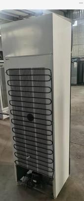 ODM/OEM Direct Cooling Assisted on Manual Thermostat 610L Low-E Tempered Video Animation Double Door Glass Door Cooler Showcase with Fan R134A CFC Free Sticker