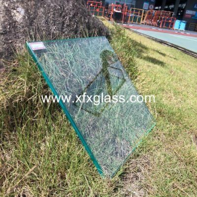 Float Glass/Reflective Glass Online 4mm-8mm