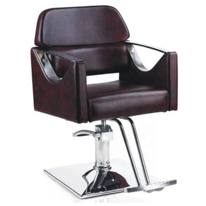 Salon Barber Chair Hl-9248 for Man or Woman with Stainless Steel Armrest and Aluminum Pedal