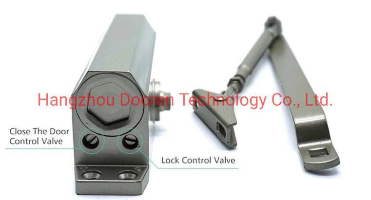 Hydraulic Swing Door Closer for Wood Door with CE