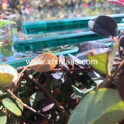 3mm/4mm/5mm/6mm/8mm/10mm/12mm/15mm/19mm Clear/Ultra Float Glass for Window/Building