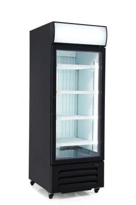 Commercial Transparent Single Glass Door Upright Display Freezer Showcase