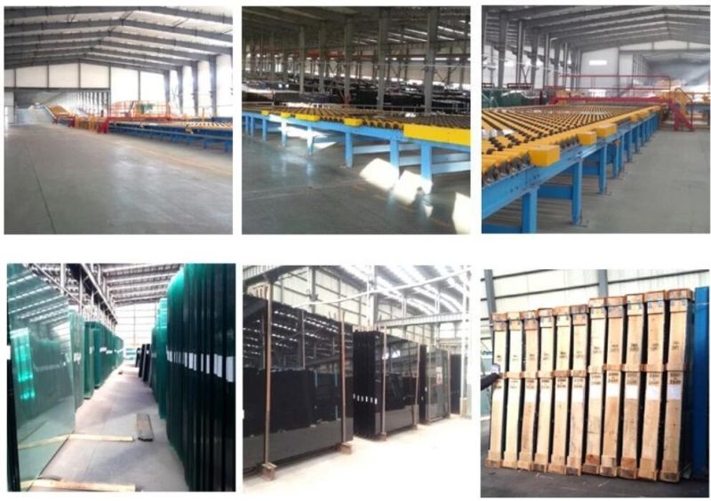 Made in China Float/Tempered Low Iron Glass for Greenhouse/Horticulture