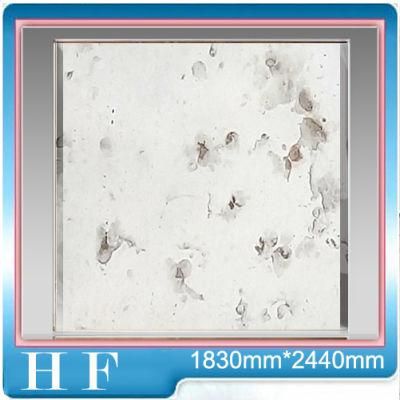 1650mm 2200mm Floated Glass Mirror (A010) Antique Glass