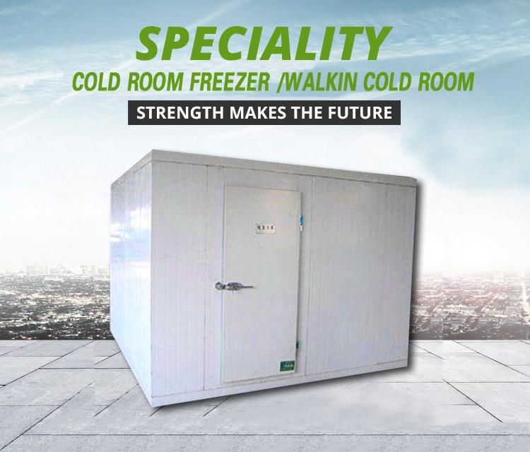 Refrigerated Curved Glass Food Display Case Deli Fresh Storage Chiller Meat Showcase