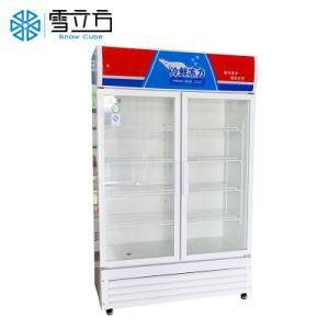 Large Beverage Cooler Glass Door Deep Freezer/Refrigerator Display Racks