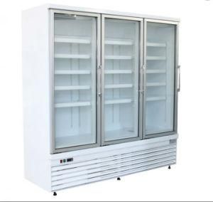 Glass Door Sweat Free Freezer Upright Supermarket Showcase for Convenience Store
