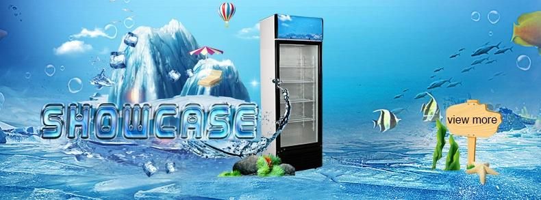 Stand Glass Display Cold Chiller Refrigerator Beer Showcase