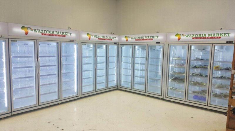 Frost Free Vertical Display Showcase Double Glass Door Freezer