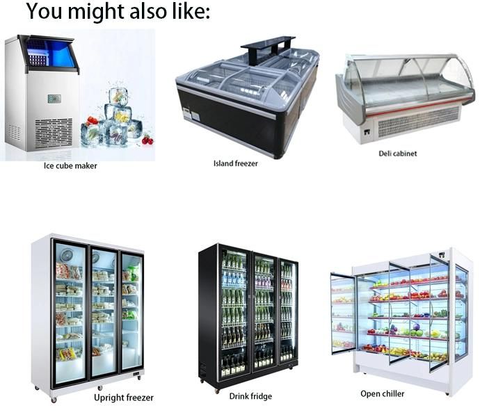 Brand New 2 Glass Door Display Cooler / Refrigeration Cooling System /Merchandiser Chiller/ Showcase RoHS Ce UL Certificate