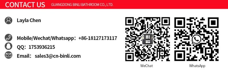 Promotion Sale Black Sintered Stone Countertop Basin Vanity Bathroom Glass Mirror Cabinet