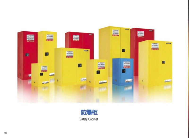 Full Steel Lab Explosion-Proof Cabinet Laboratory Double Gas Cylinder Cabinet