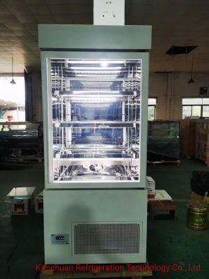 Commercial Cake and Pastry Glass Chiller Display Refrigerated Cooling Cake Showcase Fan Cooler Display for Bakery Shops