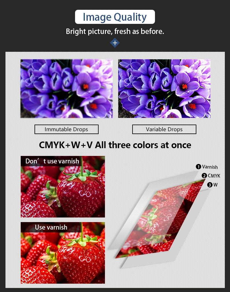 Ntek Hybrid Flatbed Printer and Roll to Roll Printing Machine