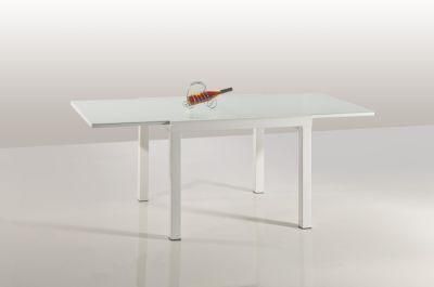Simple Modern Glass Top Extension Folding Function Dining Table