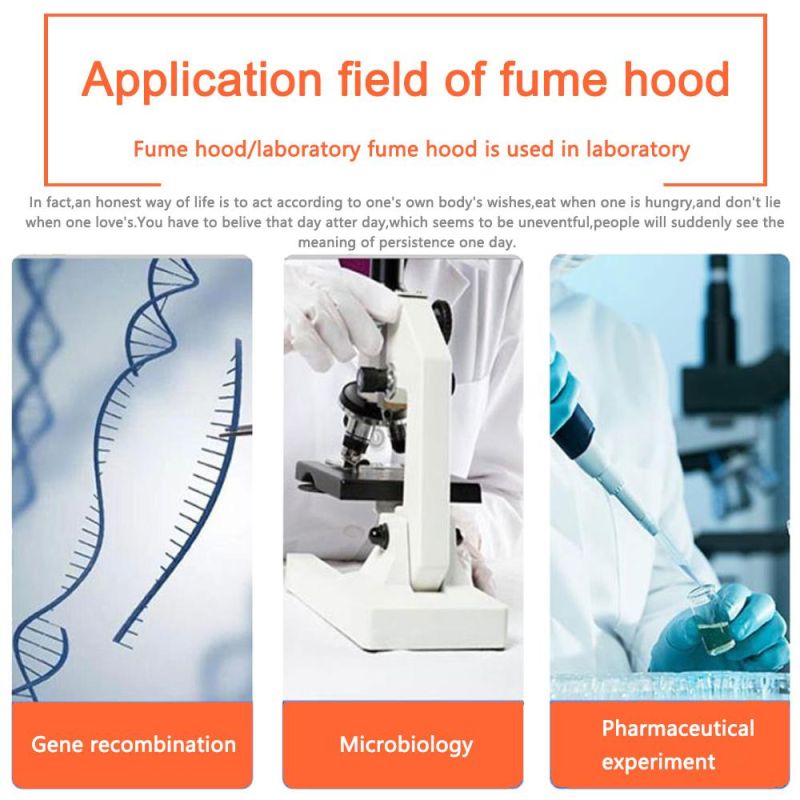 Fume Hood Cabinet for Laboratory