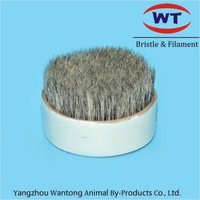 Chungking Natural Grey Pig Bristles for Paintbrush