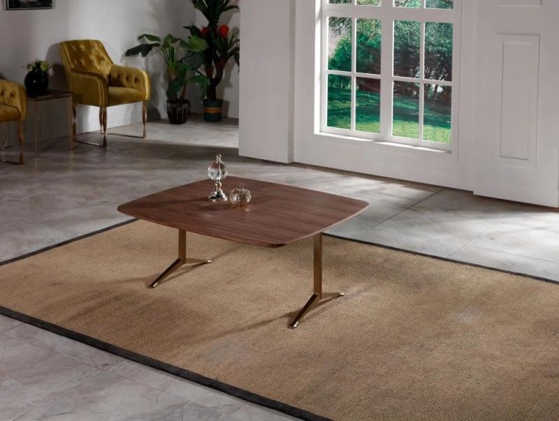 Modern Living Room Bedside Coffee Table with Stainless Steel Frame & Veneer Top