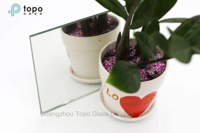 Topo Double Sides Silver Mirror Glass for Dressing Room Decoration (M-S)