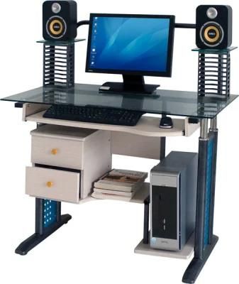 Steel Glass Computer Furniture and Desk (C-43)