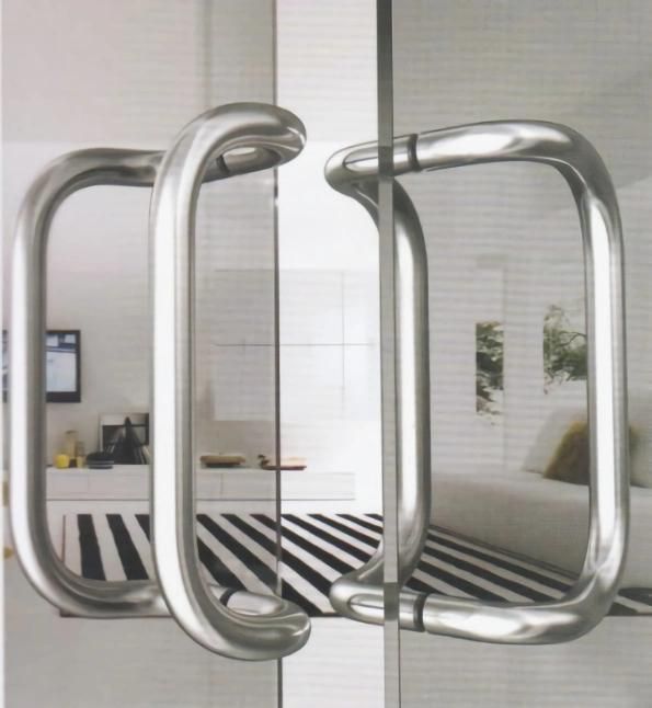 Stainless Steel D Shape Push Pull Door Handle