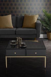 Stainless Steel Furniture Glass Coffee Tables with Black Mirror