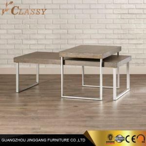Home Living Room Retangle Double Desk Coffee Table in Coated Silver Frame and Veneer Wood