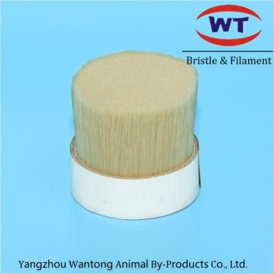 PBT Tapered Round Filaments Manufacturers