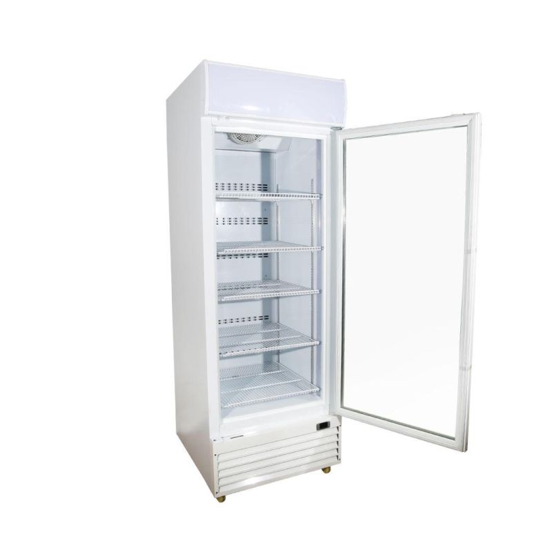 Single Glass Door Fan Dynamic Cooling Upright Freezer Ice-Cream Showcase