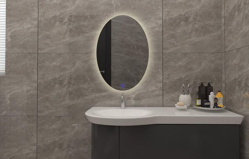 Miclion Factory Self Design Oval Frameless Backlit Lighted LED Bathroom Mirror