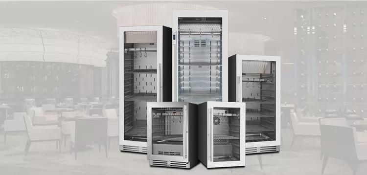 LED Panel Cheese Maturation Cabinet Dry Ageing Cabinets