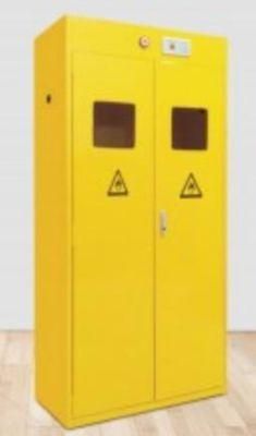 Full Steel Lab Explosion-Proof Cabinet Laboratory Double Gas Cylinder Cabinet