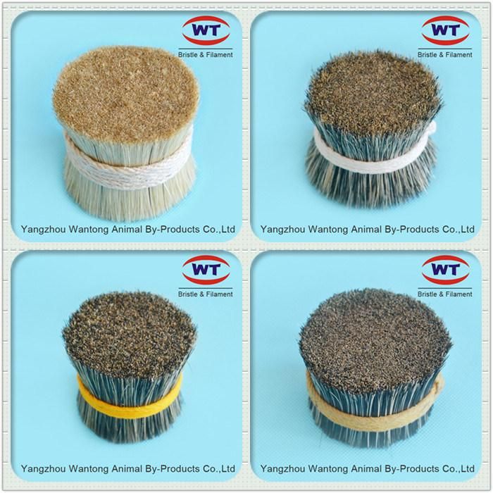 High Quality Chungking 60~90%Tops Natural White Boiled Bristle for Paint Brush