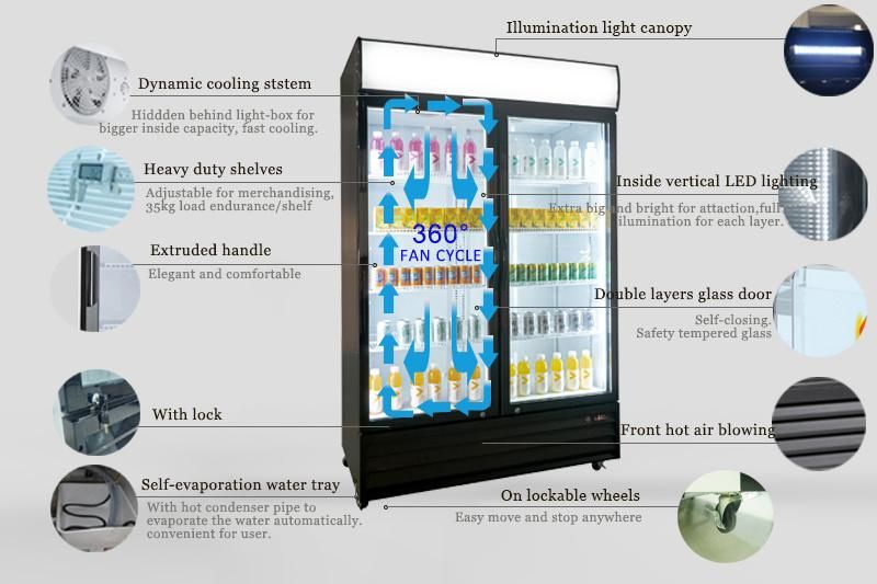 High Quality Ouble Swing Glass Commercial Double Swing Glass Doors Vertical Display Fridge Ddoor Display Upright Kitchen Cooler Showcase