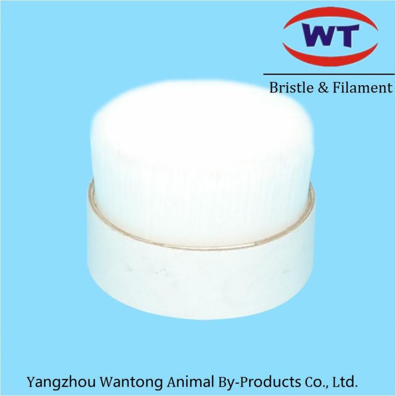 White Color PBT Paint Brush Monofilament Supplier